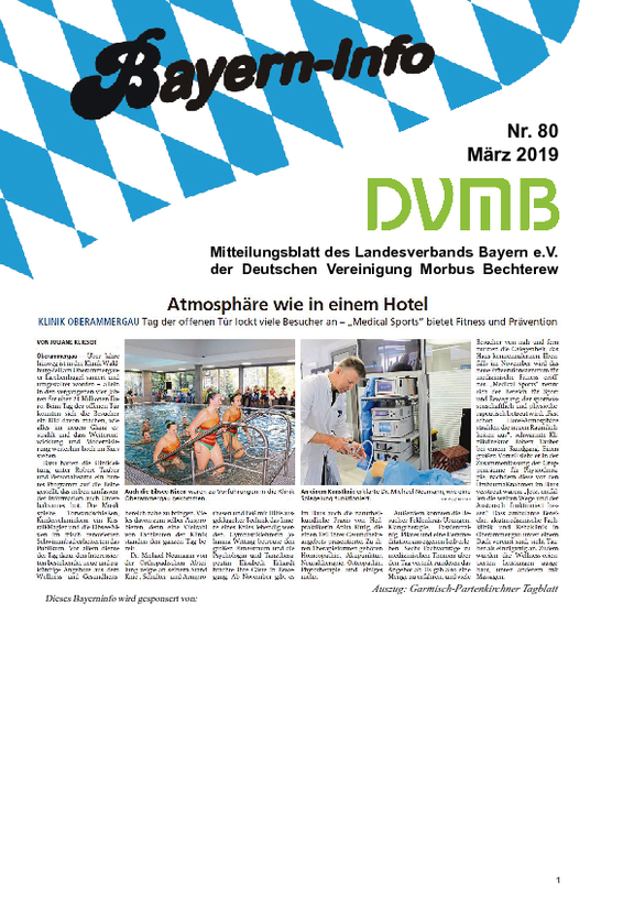 DVMVB-80-Bayerninfo.pdf 